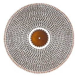 Janine Mackintosh_Waiting for Godwit II_©