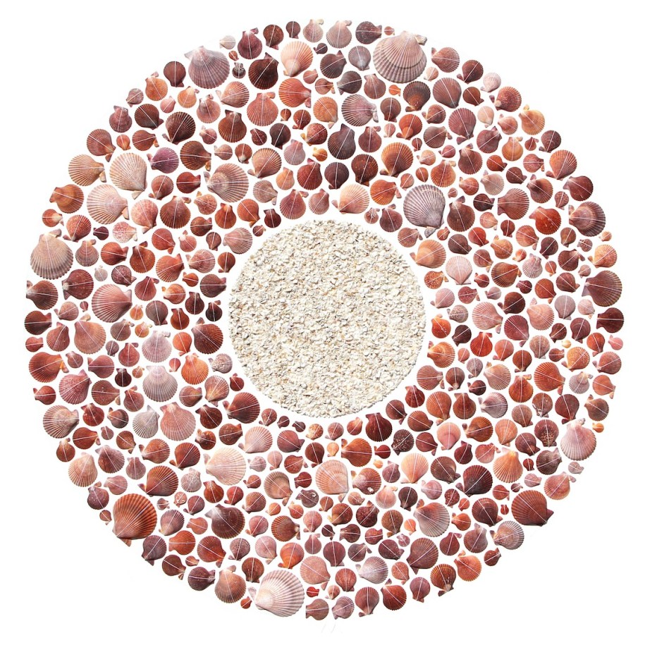 Janine Mackintosh_Bounty©